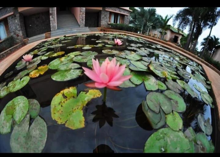 Krishna Heritage Resort بادامي المظهر الخارجي الصورة